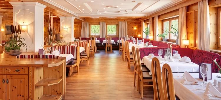 泰若乐尔霍夫高山酒店(Alpenhotel Tirolerhof)图片