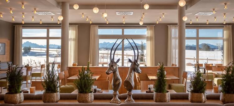 达斯威特布里克艾尔古酒店(Das Weitblick Allgäu)图片
