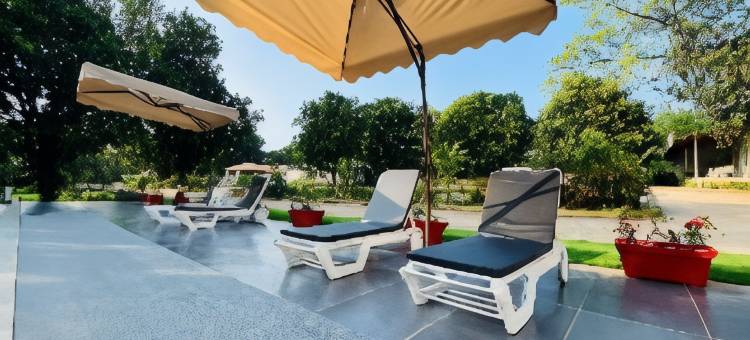 绿色丛林度假村(The Green Jungle Resort)图片