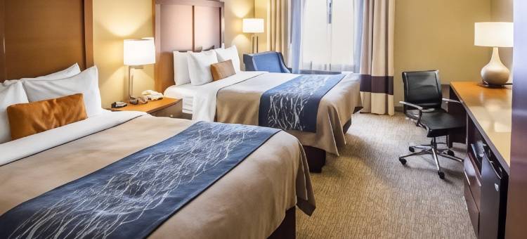 舒适酒店埃奇沃特哈德逊河畔(Comfort Inn Edgewater on Hudson River)图片