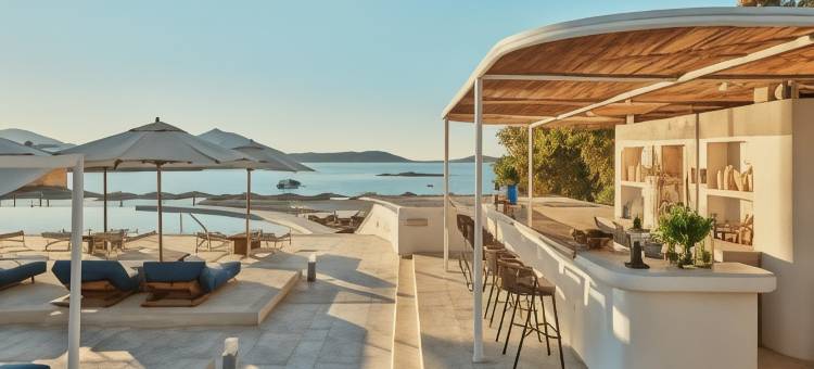 科斯梅豪华精选度假酒店，帕罗斯(Cosme, a Luxury Collection Resort, Paros)图片