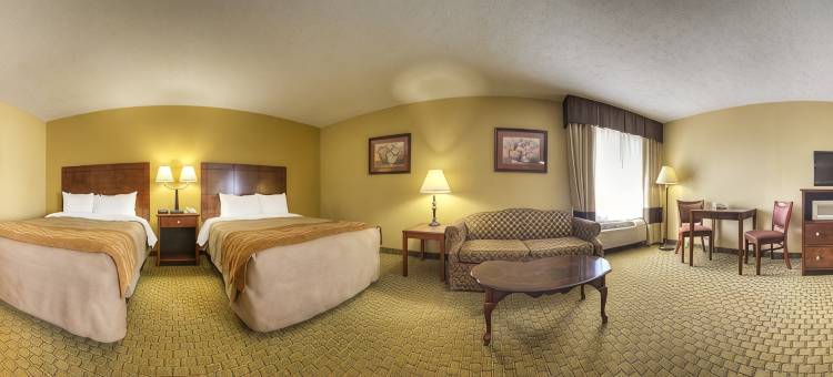 亨德森舒适酒店 - 埃文斯维尔南区(Comfort Inn Henderson - Evansville South)图片