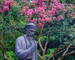 都江堰紫薇花海盛放！精選古建打卡位，隨手影都係靚相