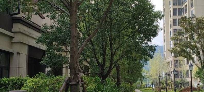 溪花墅度假别墅(罗汉溪桥分店)图片