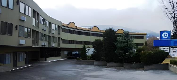 Comfort Inn & Suites图片