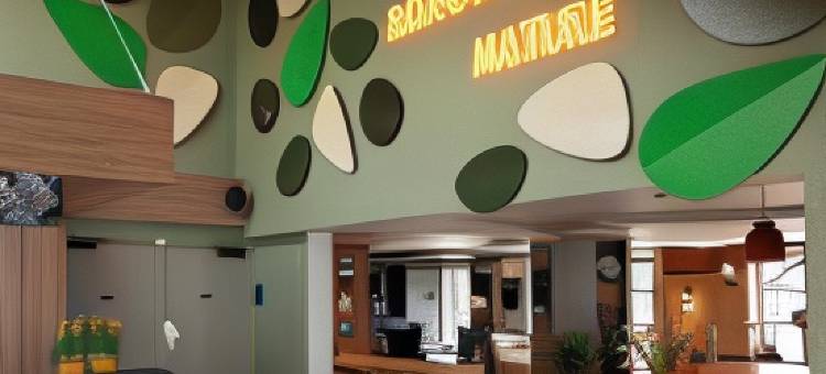 鲁昂南 Zénith 宜必思快捷酒店(Ibis Budget Rouen Sud Zenith)图片