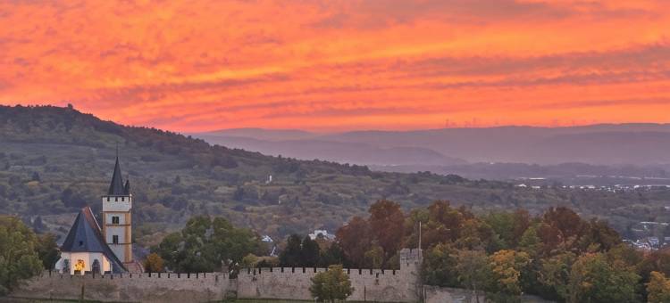 Das Karl - ehemals IBB Hotel Ingelheim图片