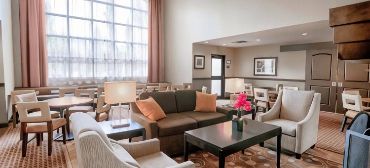 埃德蒙顿西区Staybridge Suites(Staybridge Suites West Edmonton)图片