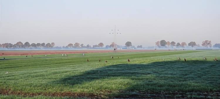 Hoeve de Heemser Parel图片