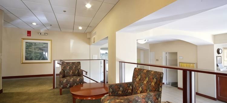 纽约市斯坦福德拉昆塔温德姆套房酒店(La Quinta Inn & Suites by Wyndham Stamford / New York City)图片