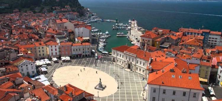 蒙弗特公寓酒店(Studio-Apartments Monfort)图片