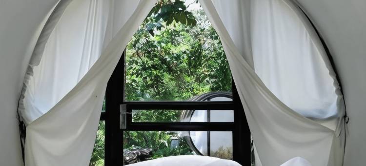 时间胶囊酒店(Time Capsule Retreat, Sungai Lembing)图片