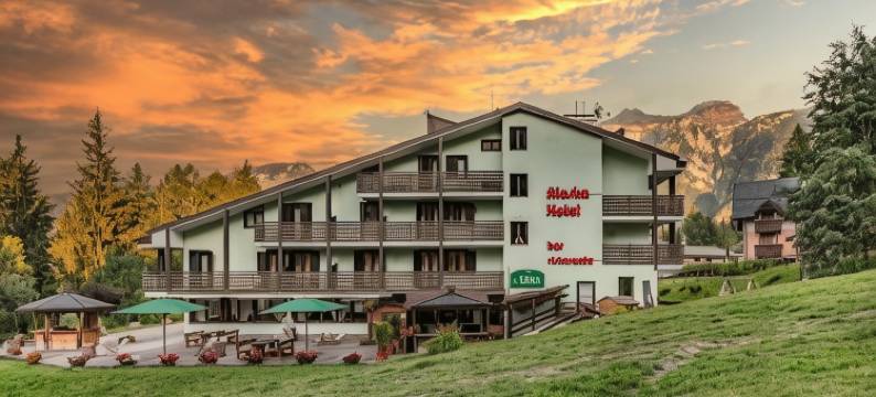 阿拉斯加酒店(Hotel Alaska)图片