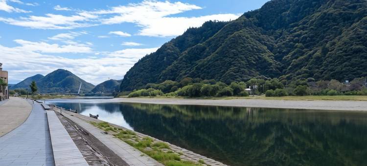 石金酒店(Nagaragawa-Onsen Ishikin)图片