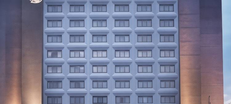 斯普林菲尔德希尔顿逸林酒店(DoubleTree by Hilton Hotel Springfield)图片