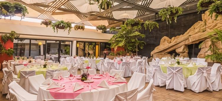 温德姆库利阿坎行政酒店(Wyndham Executivo Culiacan)图片