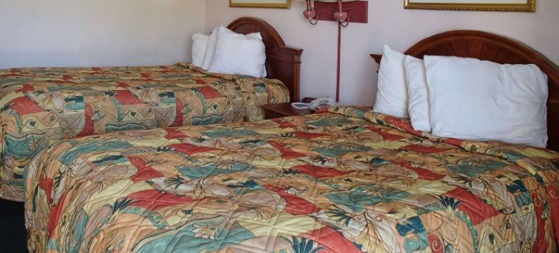 利斯堡链湖罗德威酒店(Rodeway Inn Leesburg Chain of Lakes)图片