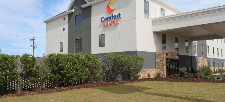 舒适套房-近勒吉恩营(Comfort Suites Near Camp Lejeune)图片