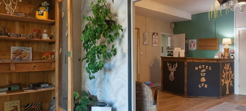 圣西尔酒店(Logis Hôtel Saint Cyr)图片