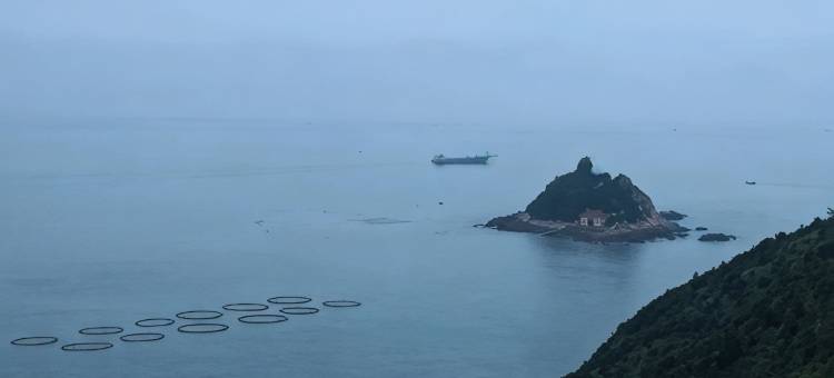 苍南象杭民宿图片