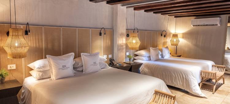 卢伊斯庄园酒店，法兰达精品店，雷迪森个体会员(Hotel Casa Don Luis by Faranda Boutique, a Member of Radisson Individuals)图片