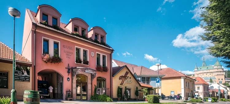 波切尼斯温尼大教堂酒店(Hotel Bojnický vínny Dom)图片
