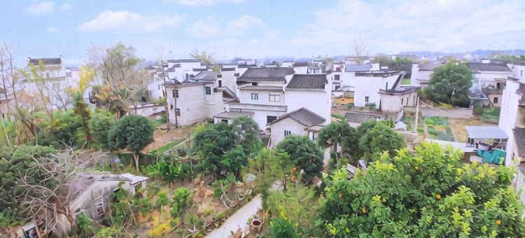 黄山枫溪别苑民宿图片