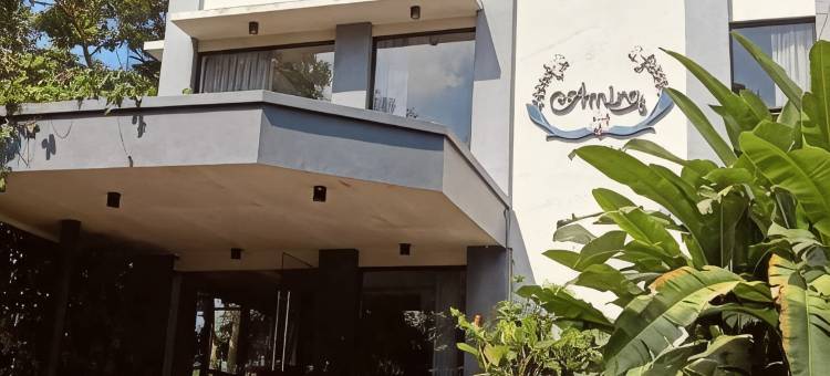 阿米拉巴斯德酒店(Hotel Amira Pasteur)图片
