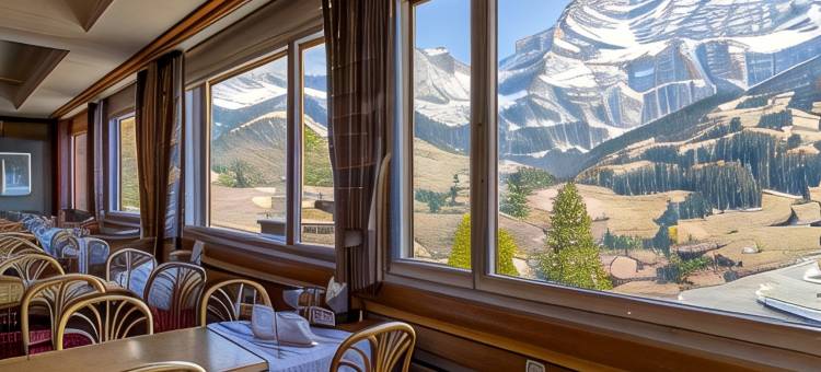 阿达尔波登美好之地酒店(Chalet-Hotel Beau-Site)图片