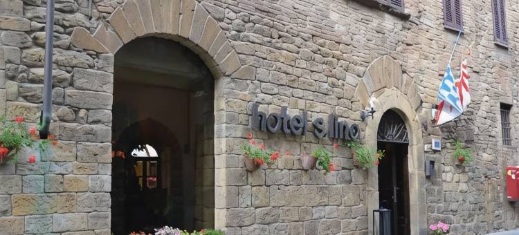 圣利诺酒店(Hotel San Lino)图片