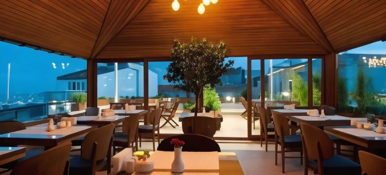 阿亚拉明豪华酒店(Ayramin Hotel Taksim)图片