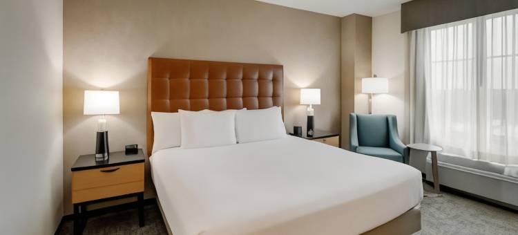 蒙哥马利德鲁里套房酒店(Drury Inn & Suites Montgomery)图片