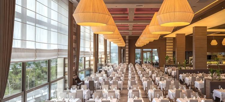 里泽温德姆华美达广场酒店(Ramada Plaza by Wyndham Rize)图片