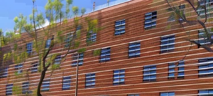 里斯本果酱酒店(Jam Hotel Lisbon)图片