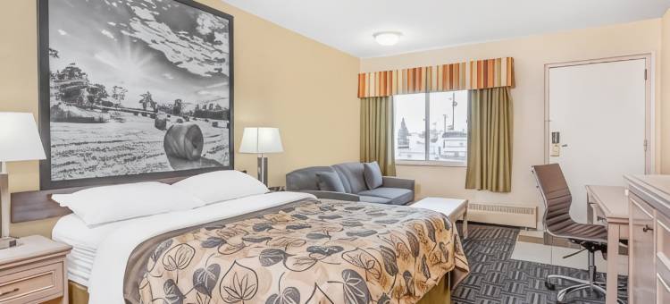 斯泰特勒速8酒店(Super 8 by Wyndham Stettler)图片