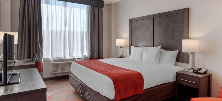 舒适套房酒店-近体育场(Comfort Inn & Suites Near Stadium)图片