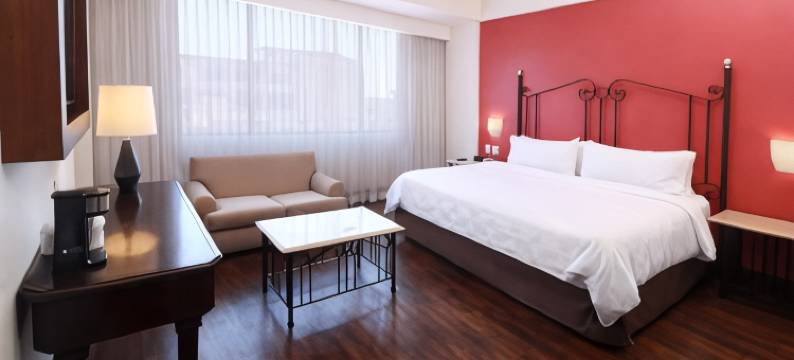 假日酒店及套房瓜达拉哈拉历史中心(Holiday Inn & Suites GUADALAJARA CENTRO HISTORICO by IHG)图片