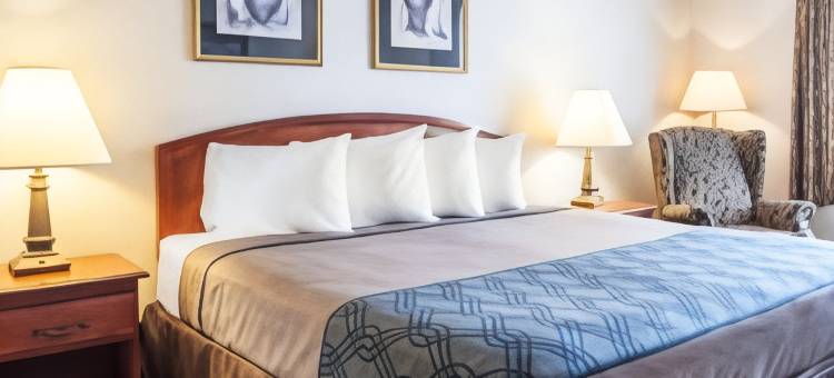 密尔沃基机场罗德威旅馆及套房(Rodeway Inn & Suites Milwaukee Airport)图片