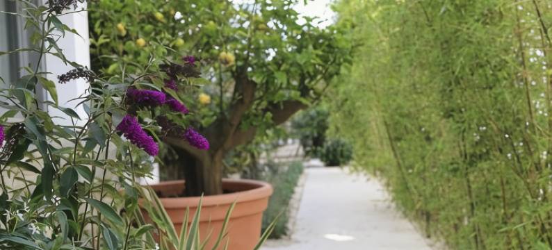 Best Western Plus Central Park Hotel图片