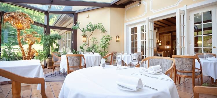 旧天鹅堡穆勒酒店(Hotel Müller)图片