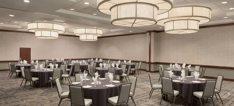 芝加哥北岸迪尔菲尔德希尔顿安泊套房酒店(Embassy Suites by Hilton Chicago North Shore Deerfield)图片