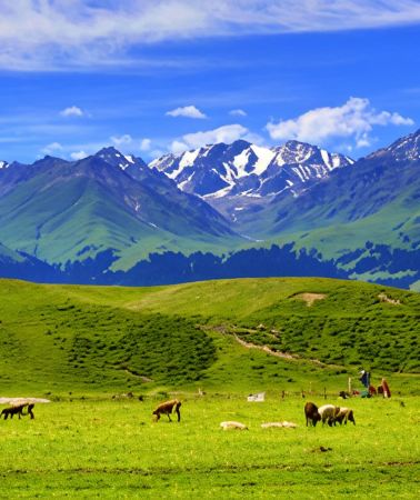 5D4N • Northern Xinjiang + Ili + Sayram Lake + Kurdenin Scenic Area + Nalati Scenic Area + Guozigou Bridge + Urumqi