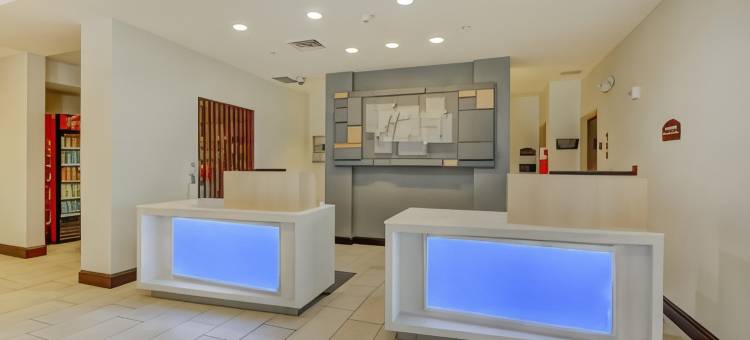 坦帕USF布希花园智选假日酒店及套房(Holiday Inn Express & Suites TAMPA -USF-BUSCH GARDENS by IHG)图片