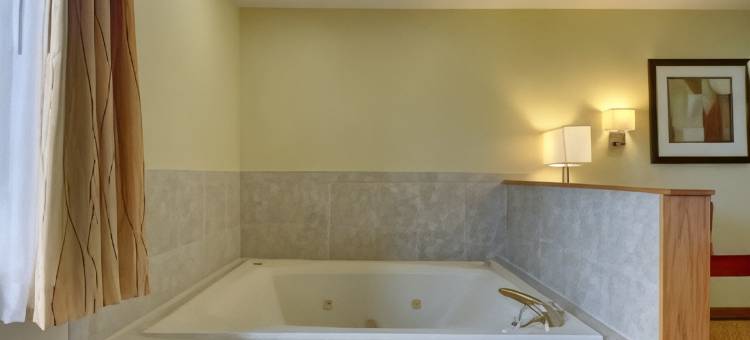 阿尔图纳贝斯特韦斯特优质酒店(Best Western Plus Altoona Inn)图片