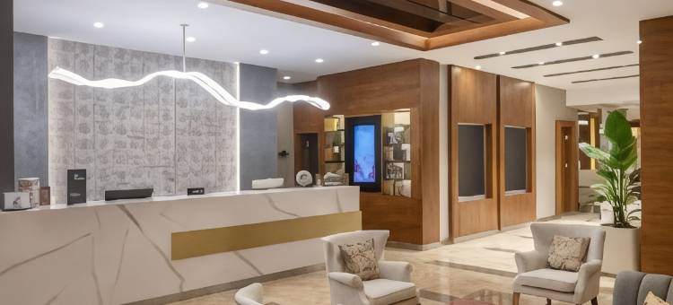 安卡拉基济莱美居酒店(Mercure Ankara Kizilay)图片