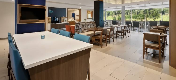 韦恩斯伯勒东智选假日套房酒店(Holiday Inn Express & Suites Waynesboro East)图片