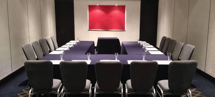 墨西哥城帕拉伊索丽笙酒店(Radisson Paraiso Hotel Mexico City)图片