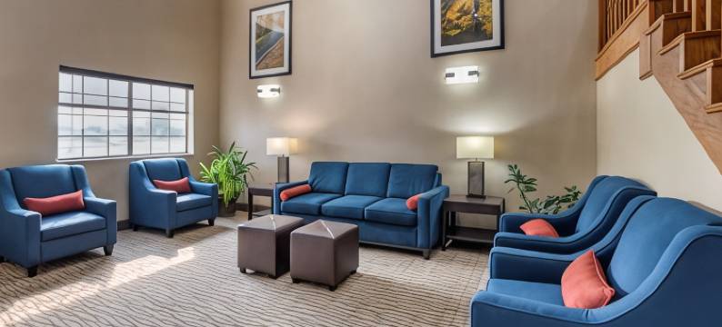 舒适套房酒店(Comfort Inn & Suites Napoleon)图片