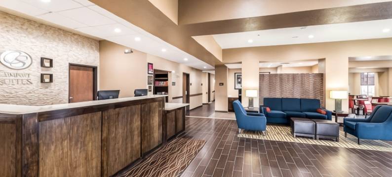 大草原城阿灵顿北部舒适套房酒店(Comfort Suites Grand Prairie - Arlington North)图片