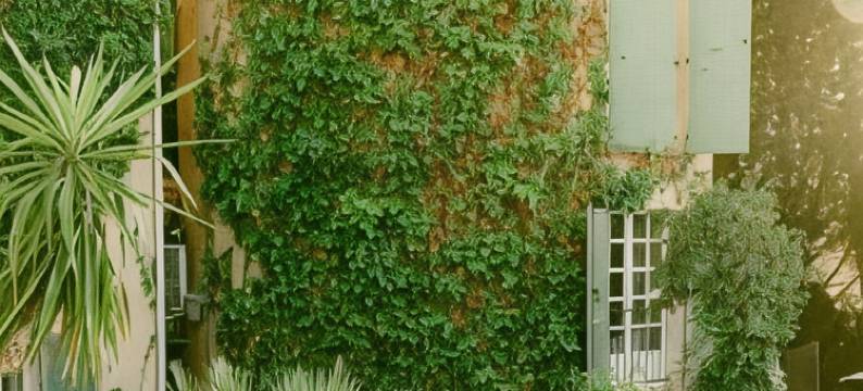 拉巴斯蒂德安托万酒店(La Bastide d'Antoine)图片